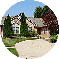 house with trees